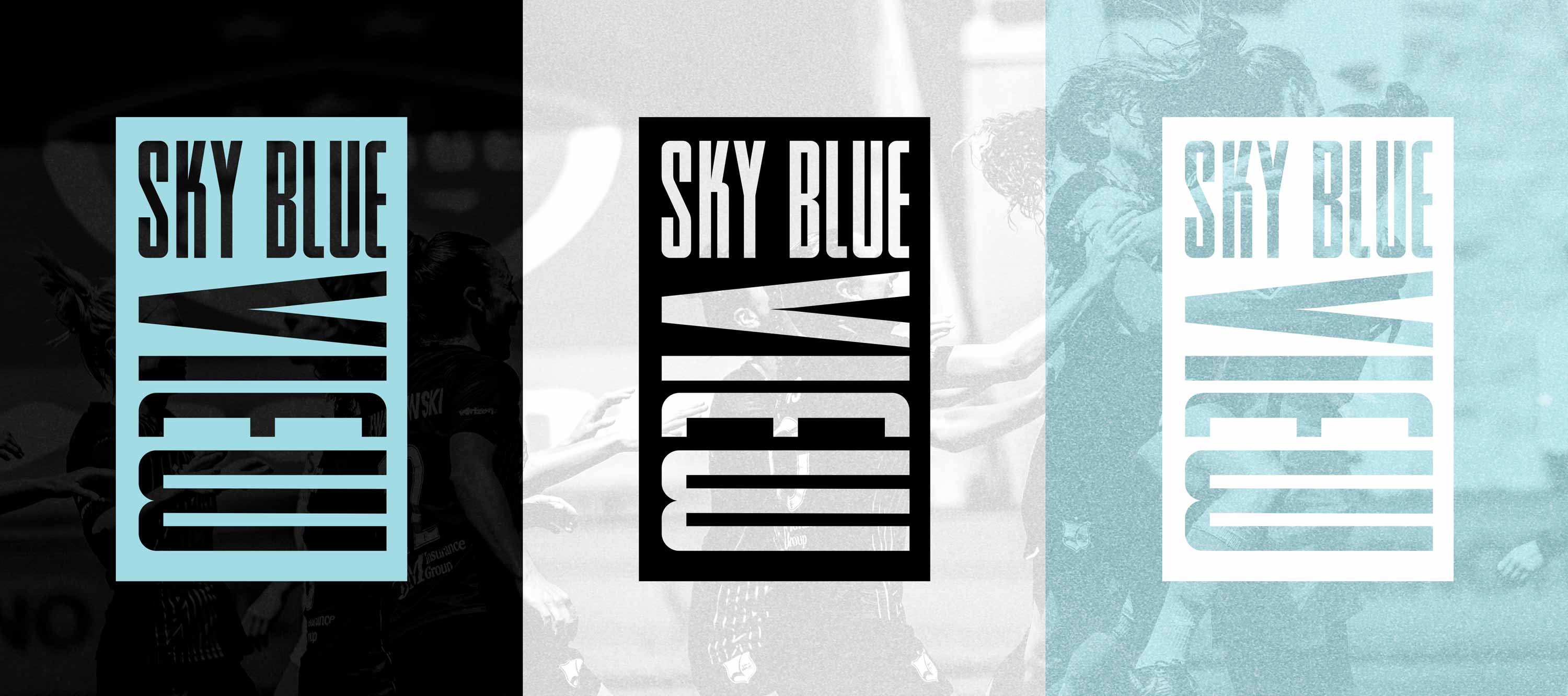 Sky-Blue-View-Branding-01-1